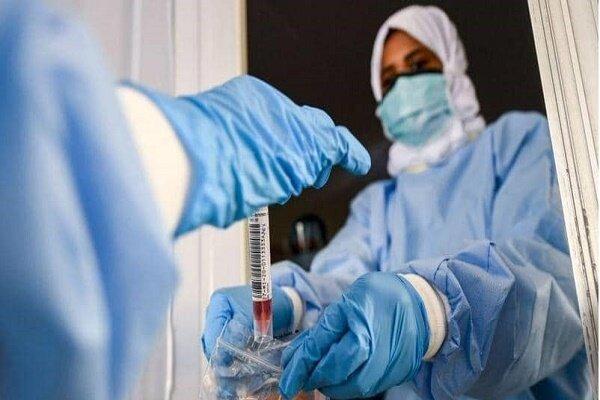شمار مبتلایان به کرونا در امارات به مرز 63 هزار نفر رسید شمار مبتلایان به کرونا در امارات به مرز 63 هزار نفر رسید