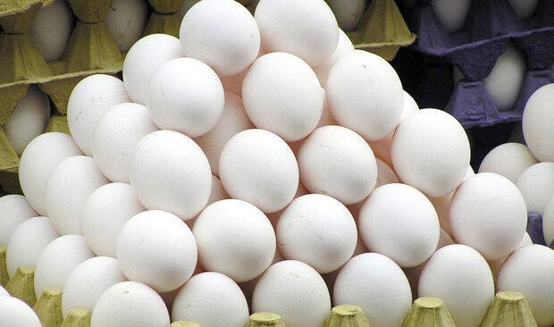 توزیع مرغ 15750 تومانی و تخم مرغ 13900 تومانی در میادین شهرداری