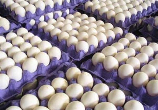 جدیدترین قیمت تخم مرغ در میادین ، یک شانه 30 تایی چند؟