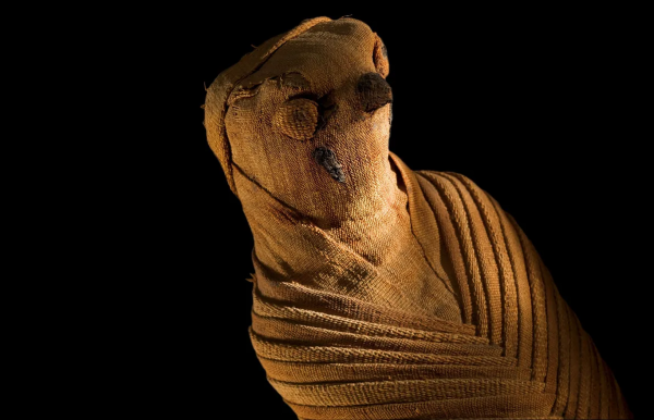 تصاویری از عجیب ترین مومیایی های مصری؛ از مومیایی گربه تا تابوت موش!